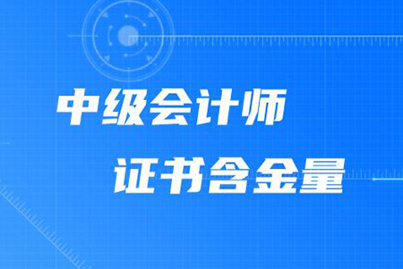 中(zhōng)級管理(lǐ)會計師和中(zhōng)級會計師，報考哪個會更好呢(ne)？